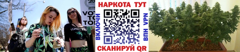 Цена Мурманск Галлюциногенные грибы  MDMA  ГАШИШ  Меф  СК  Канабис  АМФ 