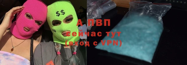 круглые Белокуриха